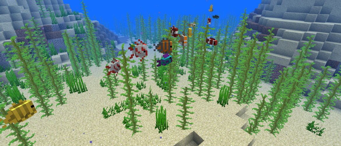 aebf7d94fdde348b16b64090ab6d2110-Header (1) (1).jpeg