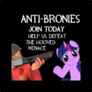 Anti-bronies organisation.jpg