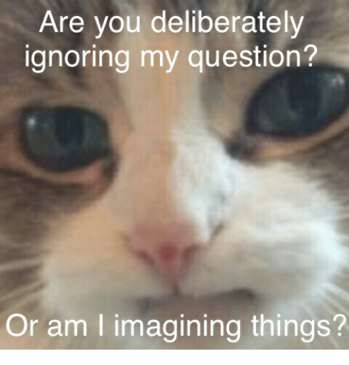 are-you-deliberately-ignoring-my-question-or-am-i-imagining-37270109.png