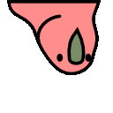 aussieparrot.gif