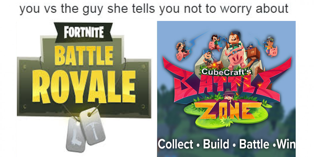 battlezonemem.png
