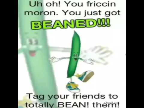 beaned.jpg