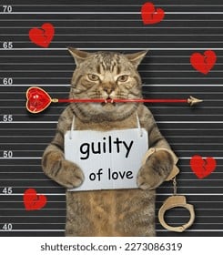 beige-cat-arrested-he-has-260nw-2273086319.jpg