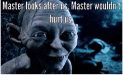 bernie-2016-master-looks-after-master-wouldnt-hurt-us-master-196429931.png