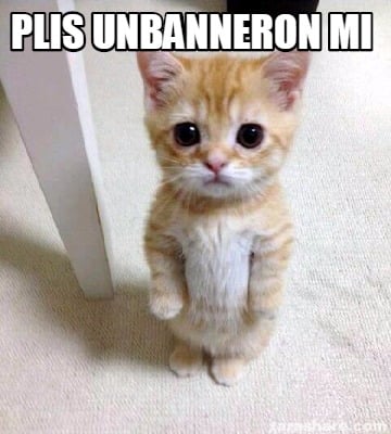 C__Data_Users_DefApps_AppData_INTERNETEXPLORER_Temp_Saved Images_3995922.jpg