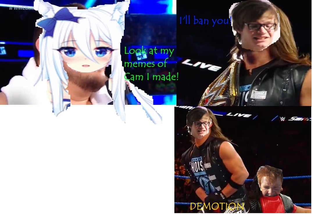 cam demotion.jpg