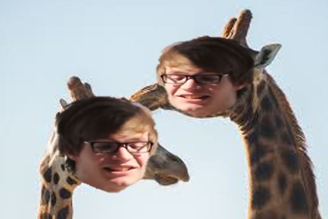 Cam Giraffes.JPG