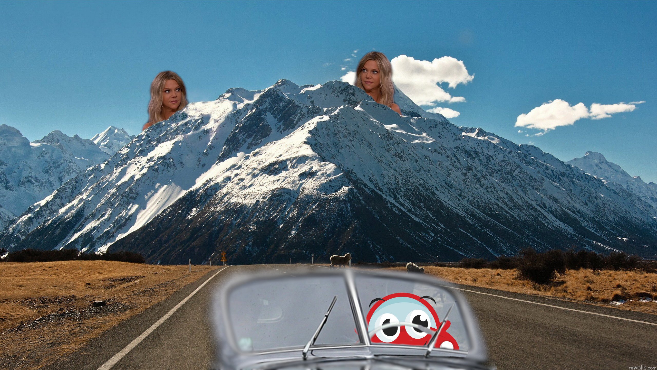 car.jpg