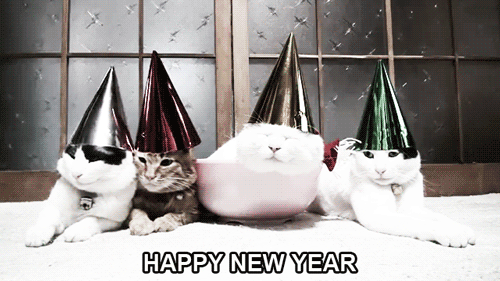 cat-happy-new-year.gif