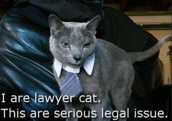 cat-lawyer-you-cant-handle-the-truth-v0-e1e92c0zzic91.png
