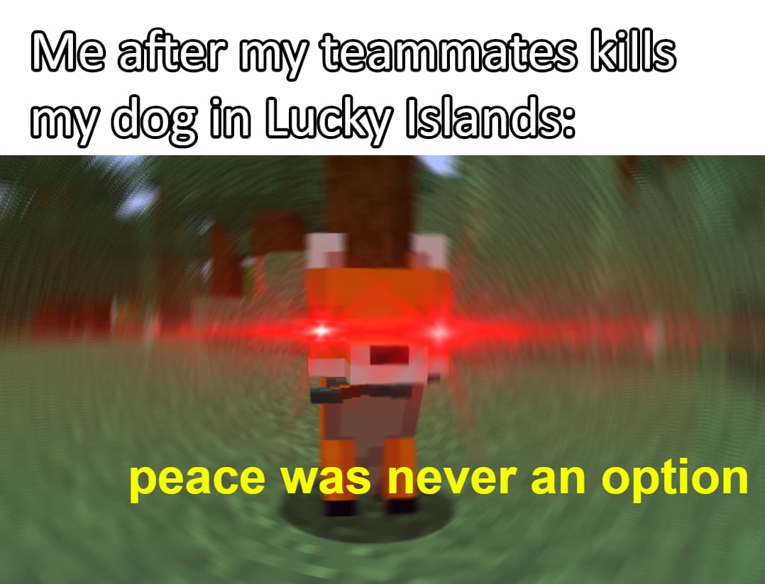 ccg memes dog1.jpg
