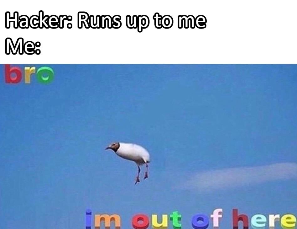 ccg memes hacker me.jpg