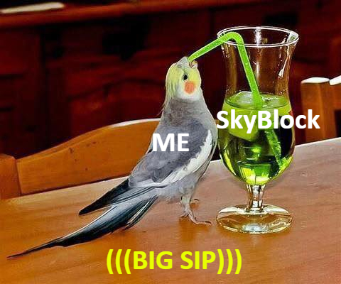 CCG MEMES skyblock.jpg