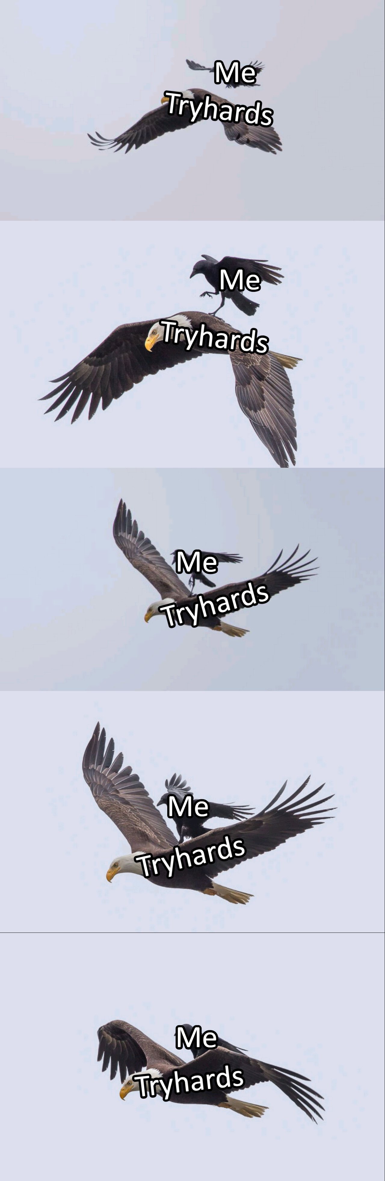 ccg memes tryhard2.jpg