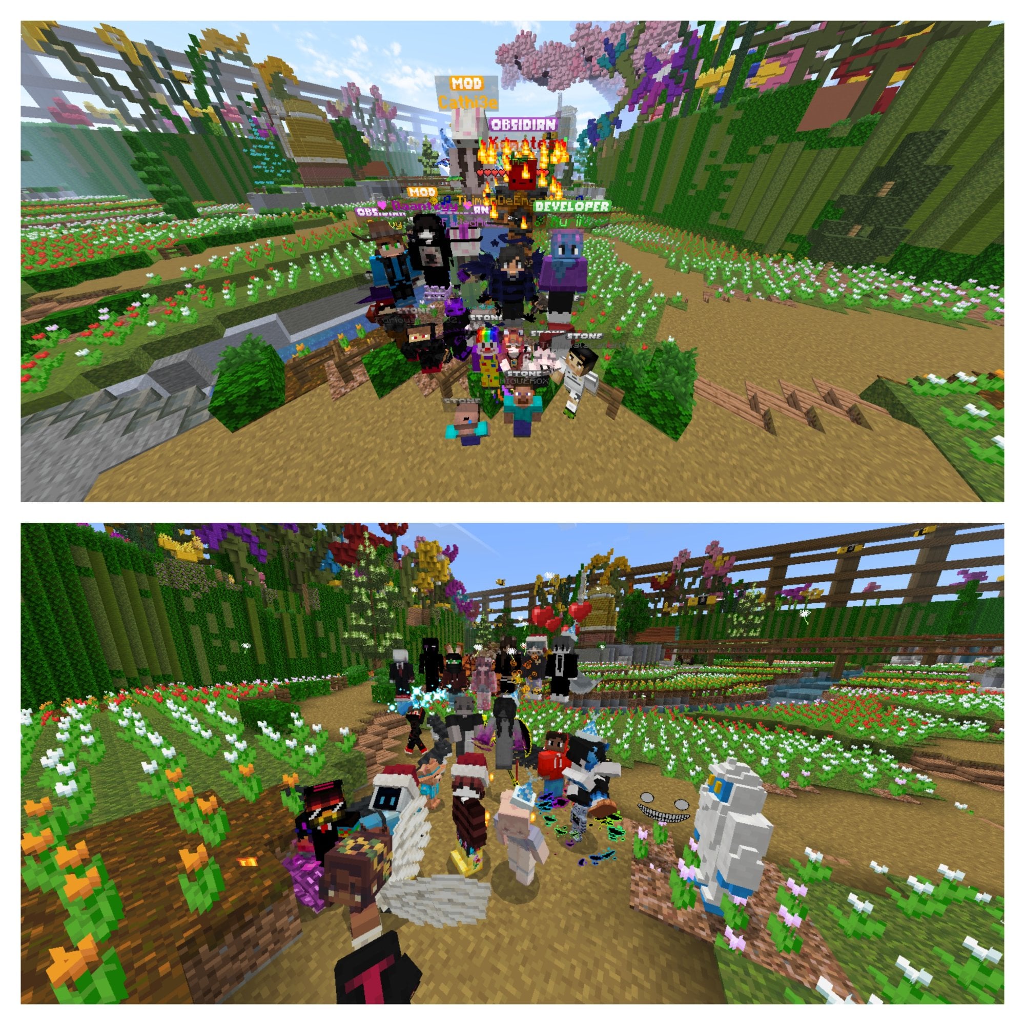 COMMUNITY_GAMES_21.jpg