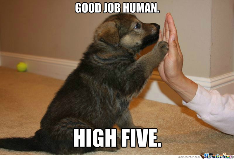 congratulations-puppy_o_2325185.jpg