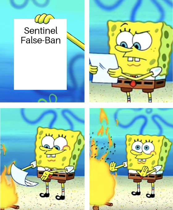 Cube Sentinel.jpg