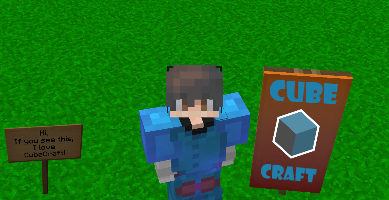 CubeCraft Banner + Sign.png