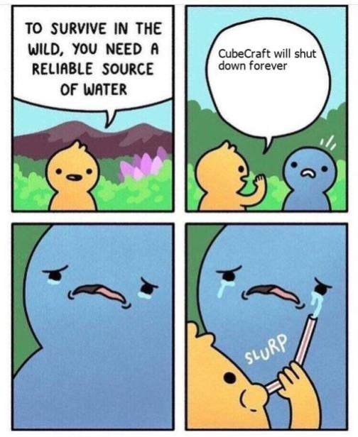 CubeCraft meme.png