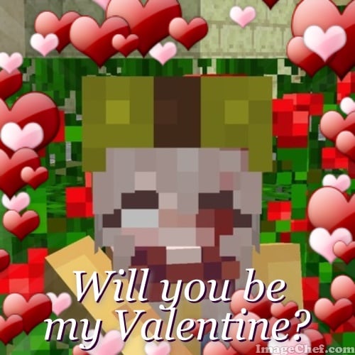 Cubecraft selfie.jpg