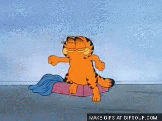 ddbb44ddb66f6f7c-garfield-dancing-gif-garfield-dancing-discover-share-gifs.gif