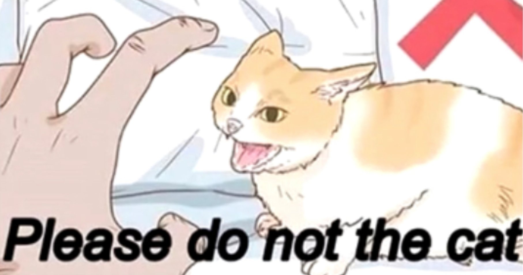 do not the cat.jpg