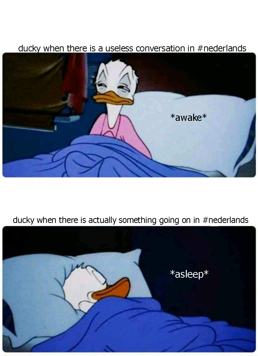 ducky.png