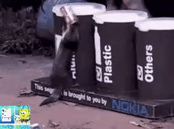 ee847681e66cb24364111746dd0a6bca.gif