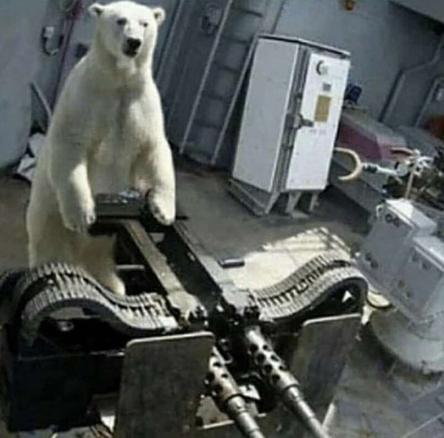 Ej1_vmQU8AEWiER.jpg_large.jpg