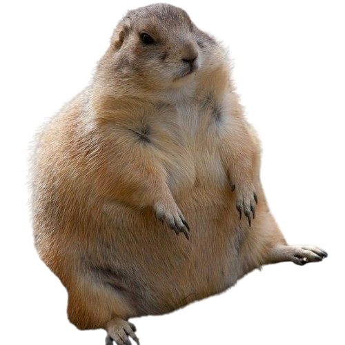 F6E43655-9A9A-4ACA-A41D-3A9B42347C8E.png