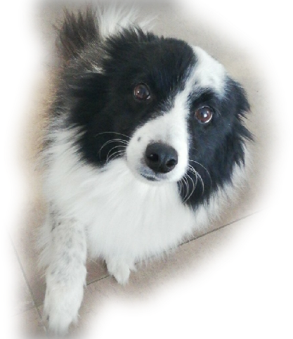 Face20191122152847.png