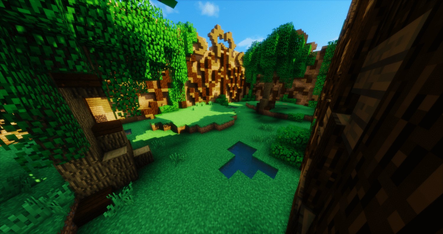 Forest.jpg