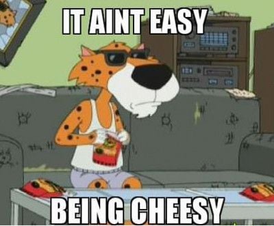 Funniest_Memes_it-ain-t-easy-being-cheesy_13173.jpeg