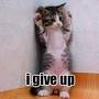 give up!.jpg