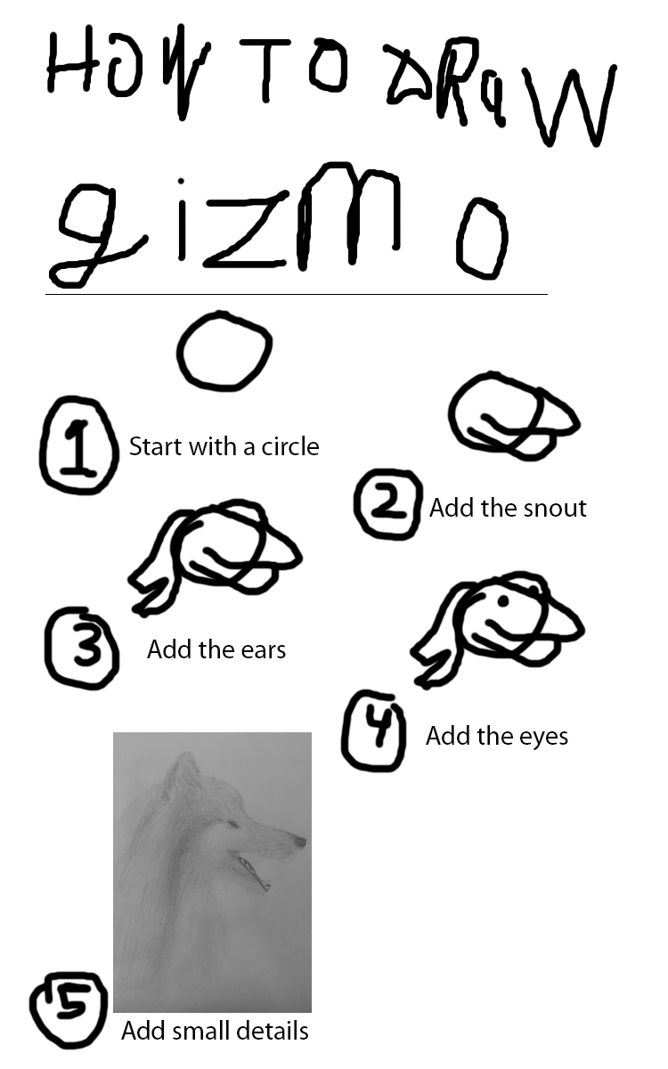 Gizmo Yoyamin.png