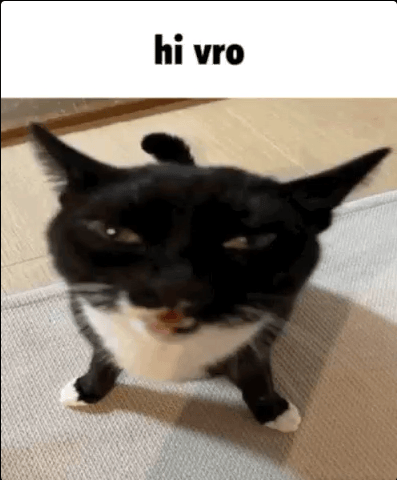 h.gif