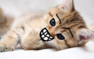 haider.png