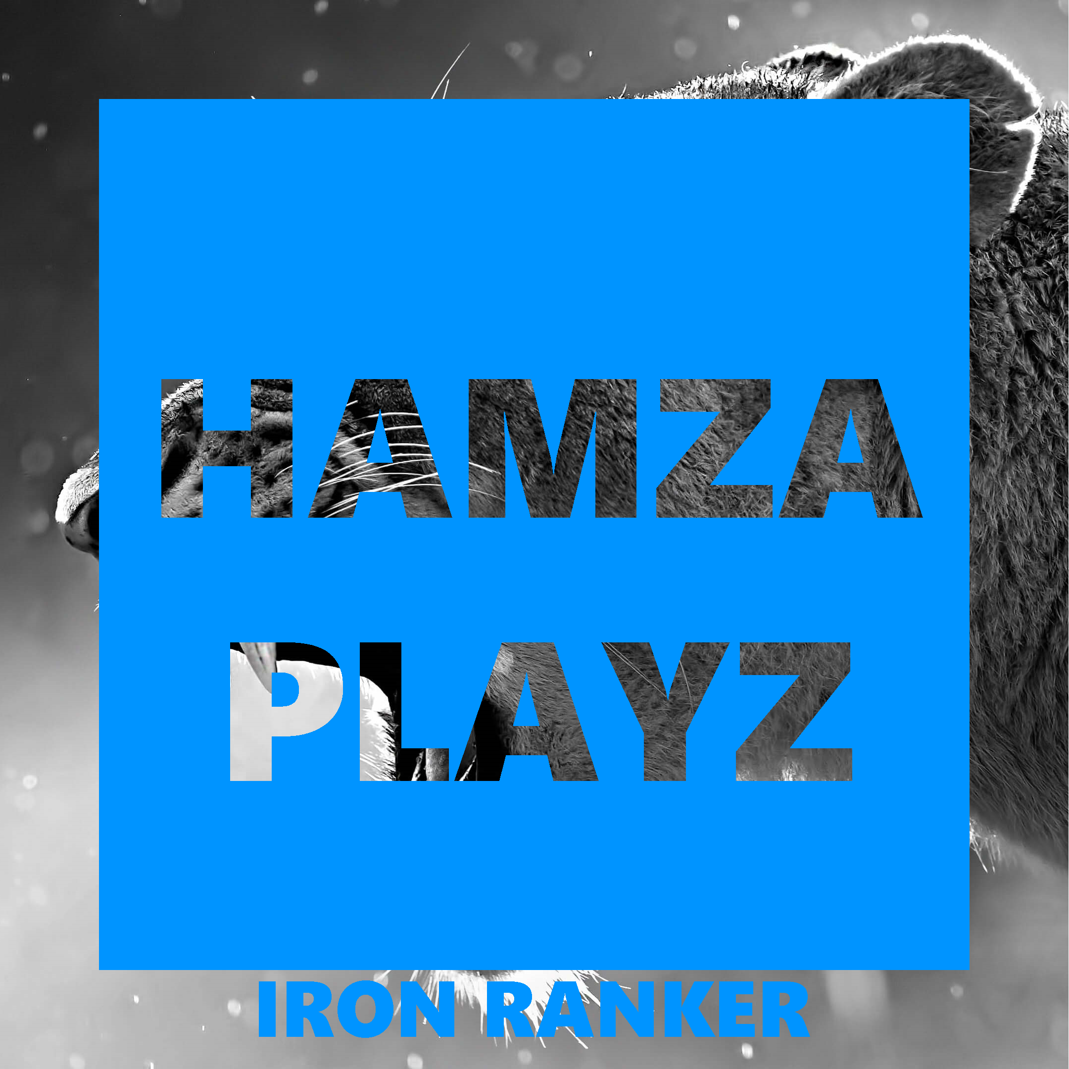 HamzaPlayz.png