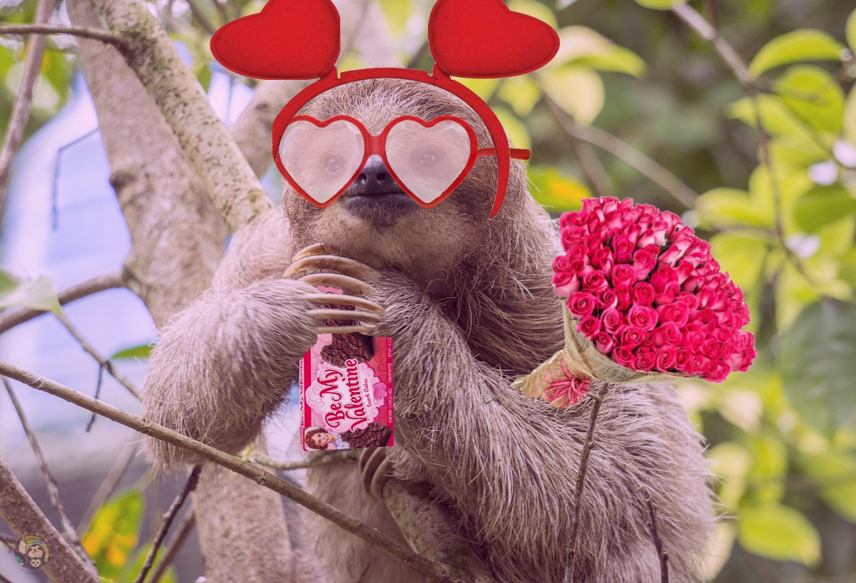 Happy Valentines!.jpg