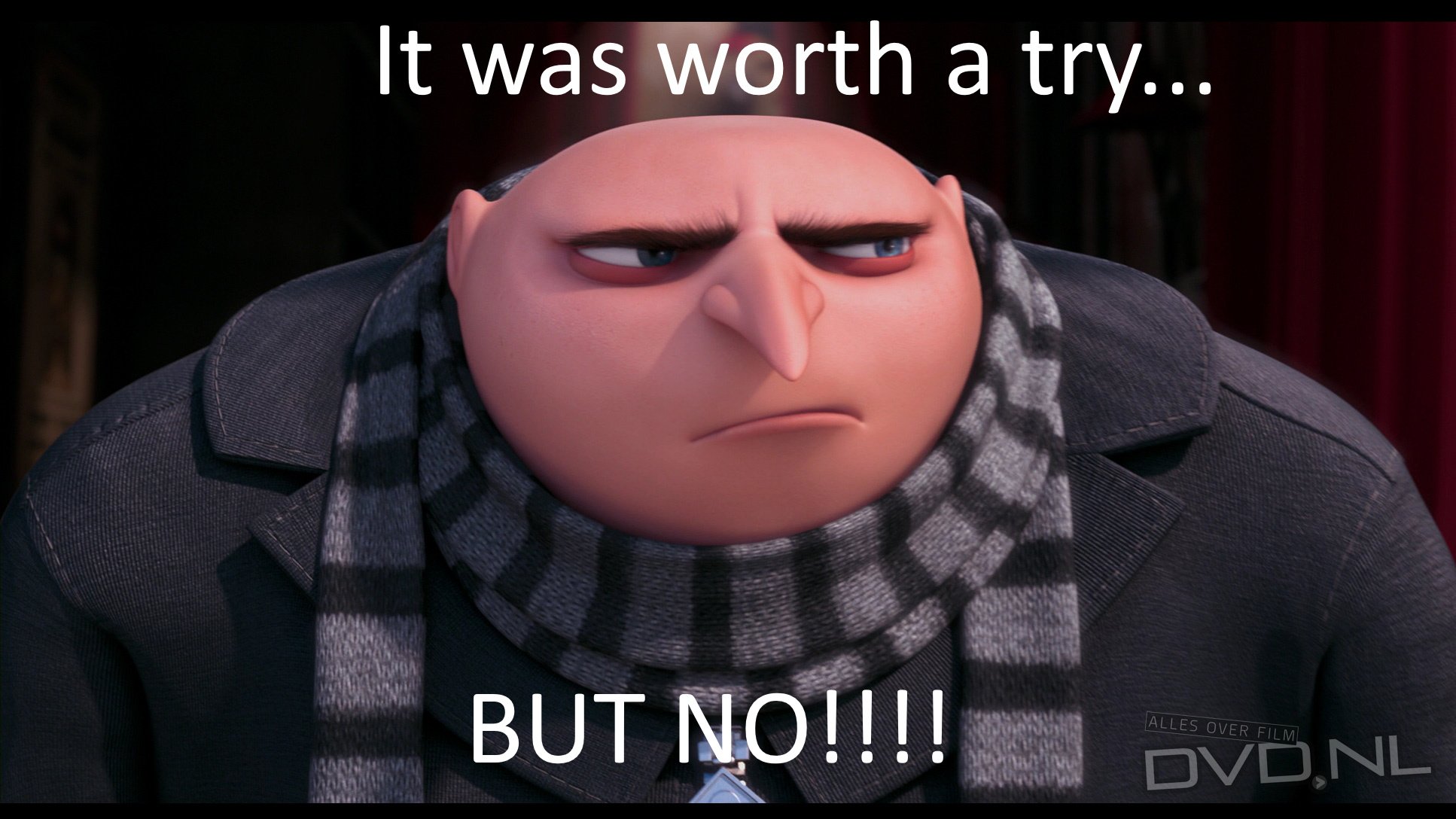 Header.jpg