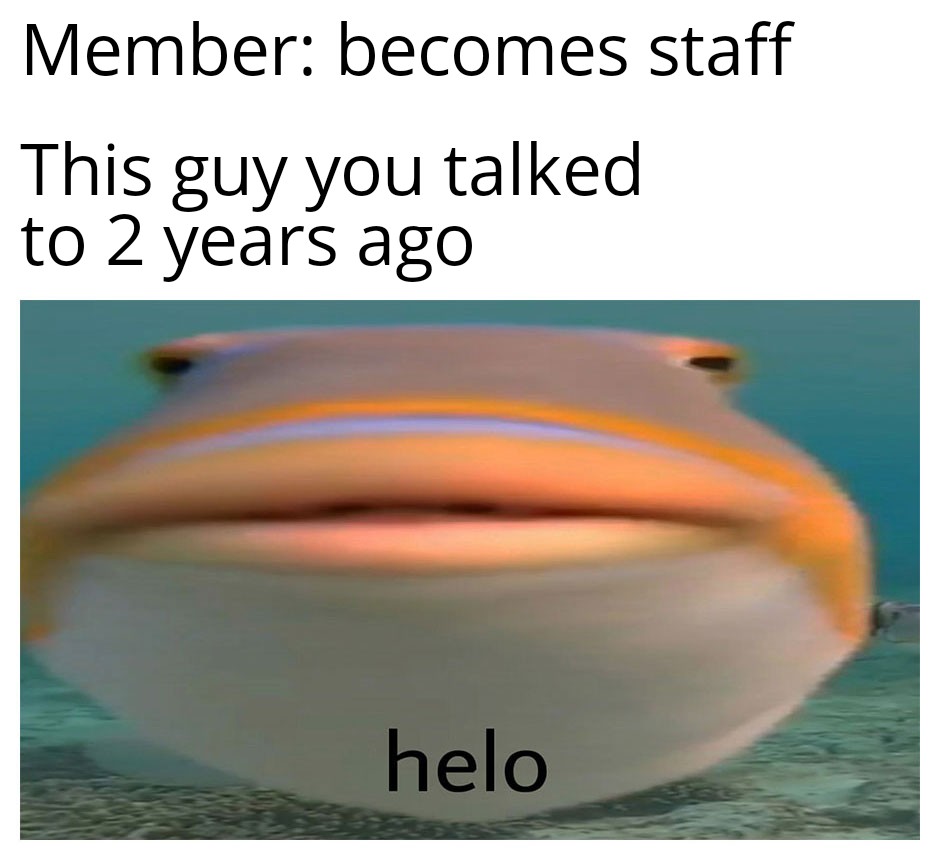 Helo Fish 13042020012418.jpg