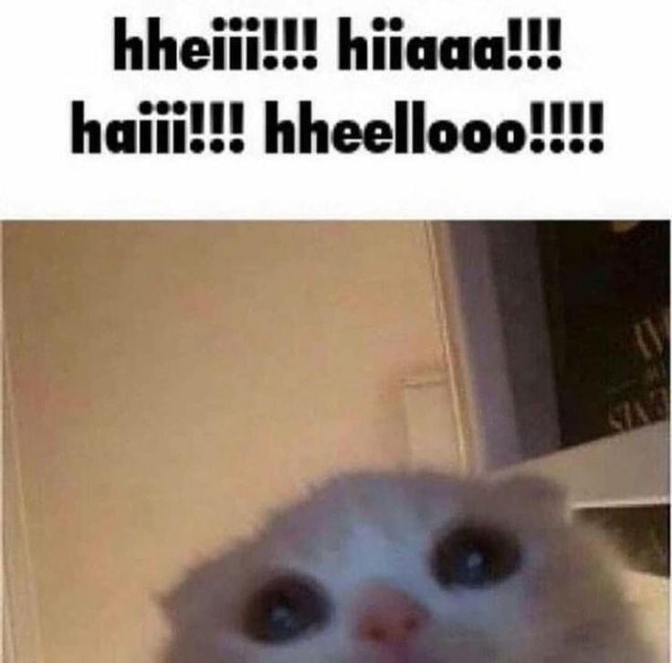 hiiaaaa!!!!!!!.jpeg