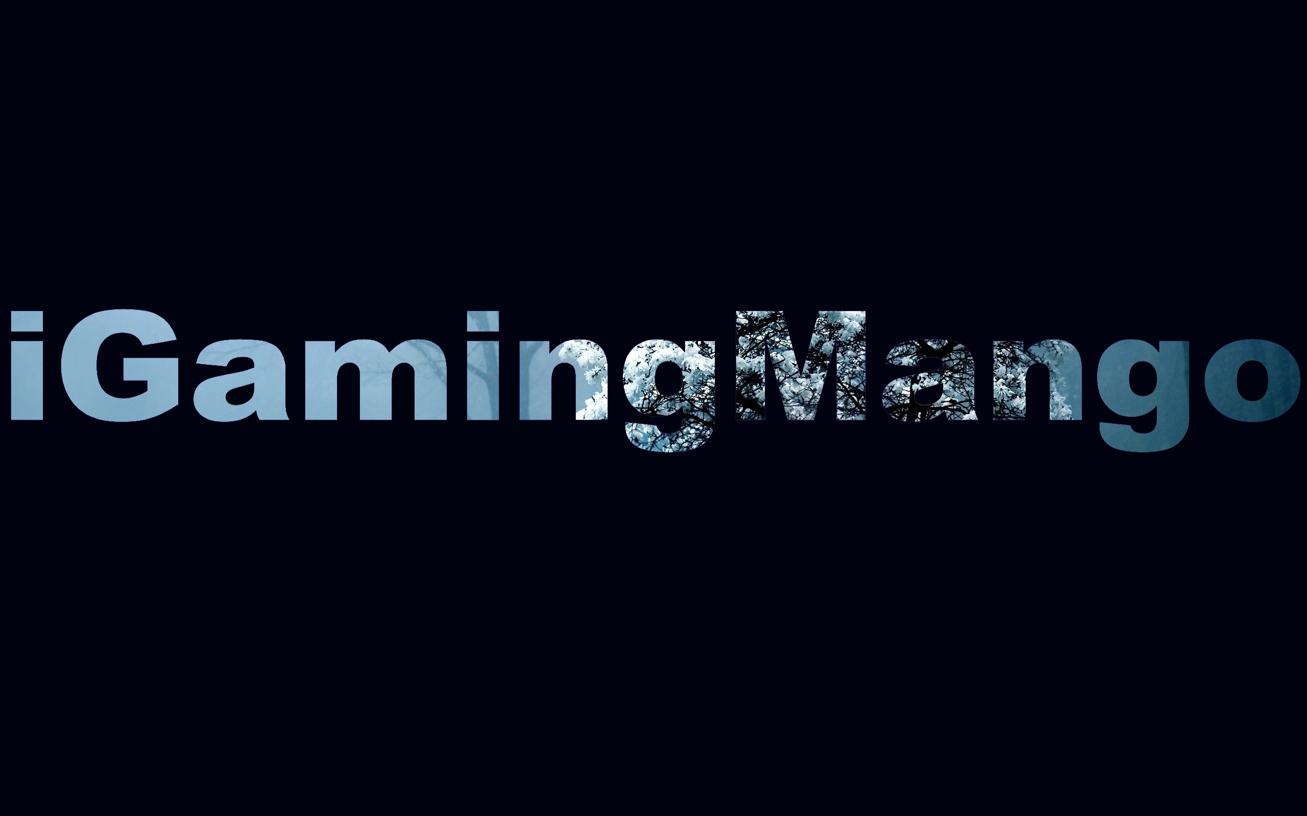 igm2.png