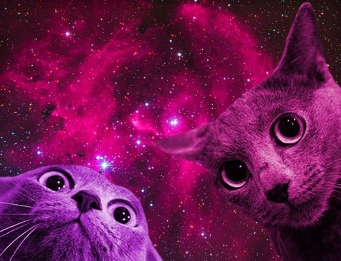 image.jpg