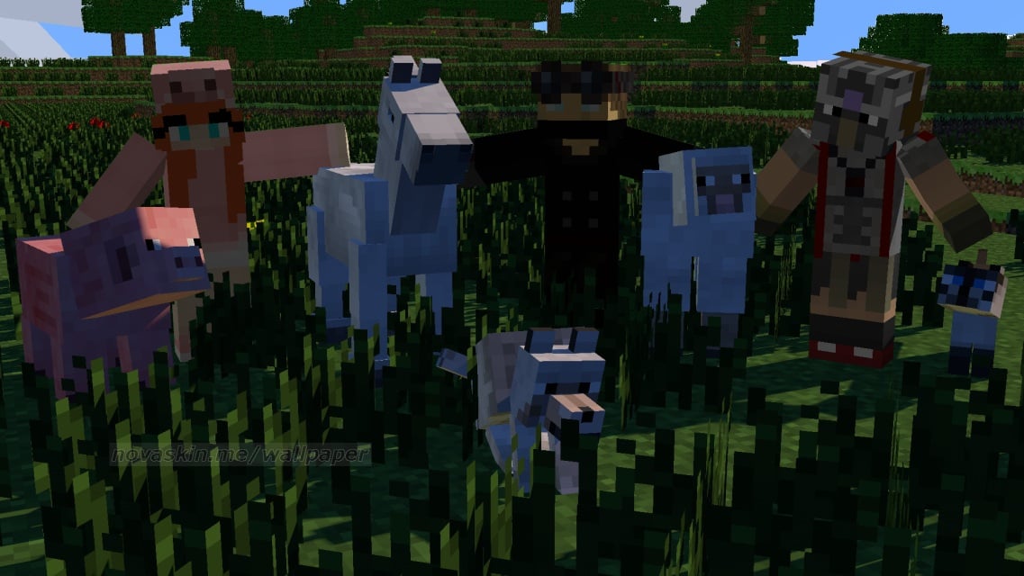 image.jpg