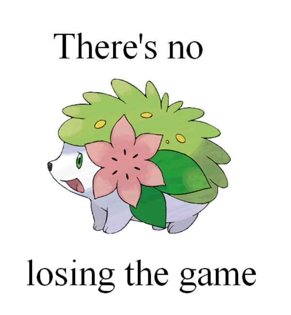 image.jpg