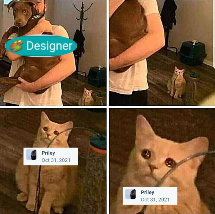 It Hurts In My Meow Meow 11112021202551.jpg