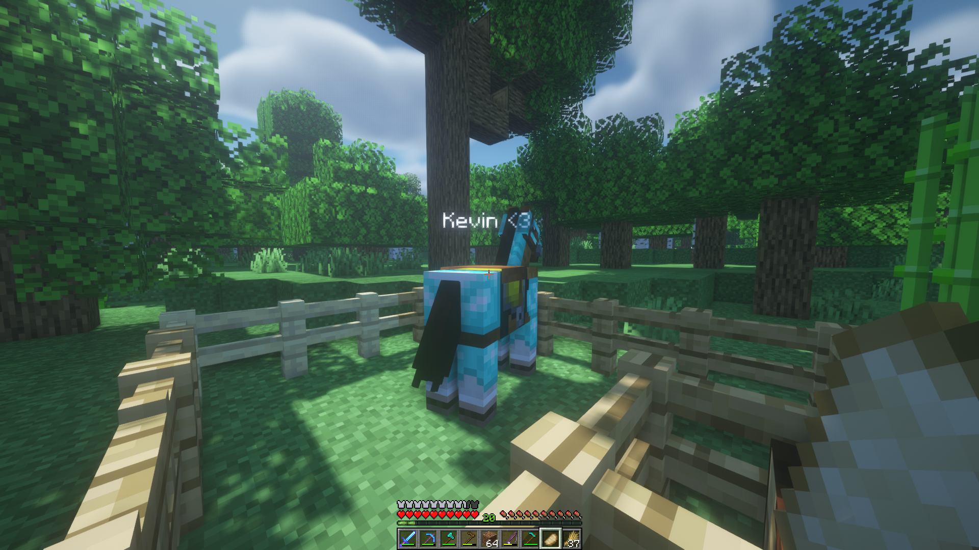 kevin.png