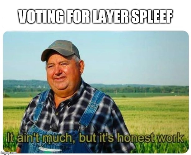 Layer spleef meme.jpg