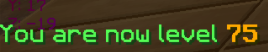 lvl 75.png